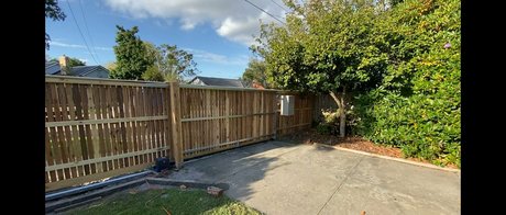 dvpgirlnextdoorxxx OnlyFans Nacktbilder