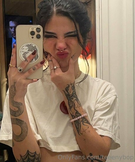 teeenybop OnlyFans geleakte Pornografie