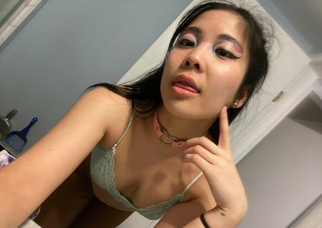 myleskitty Nacktbilder von OnlyFans geleakt