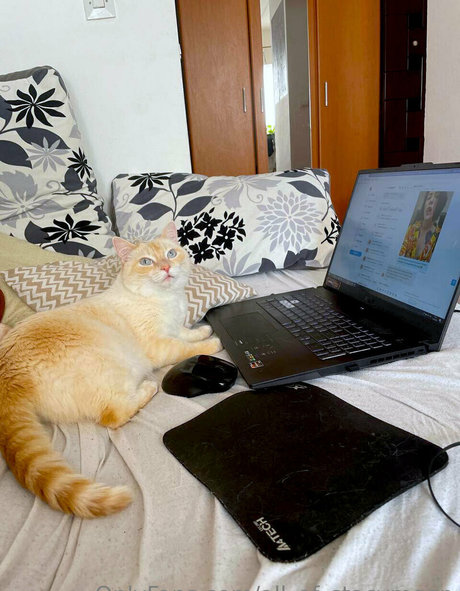 all of stacymoon OnlyFans Sextape