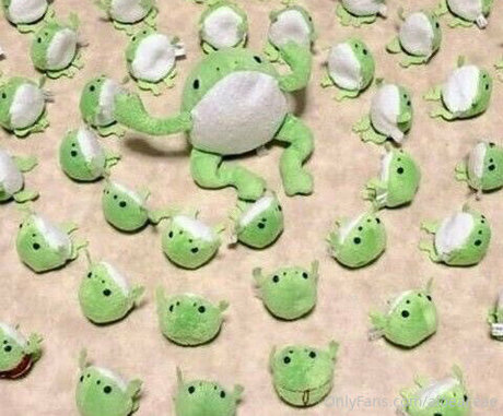 aloeaceae OnlyFans Beiträge