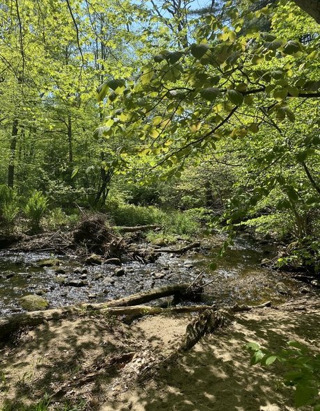 aloeaceae Strip OnlyFans