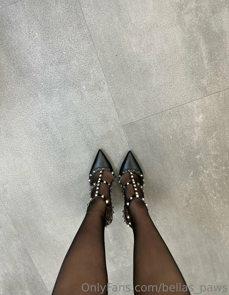 bellas paws OnlyFans kostenlos