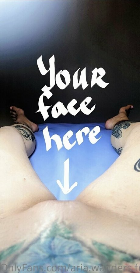 aria wanders free OnlyFans-Archiv