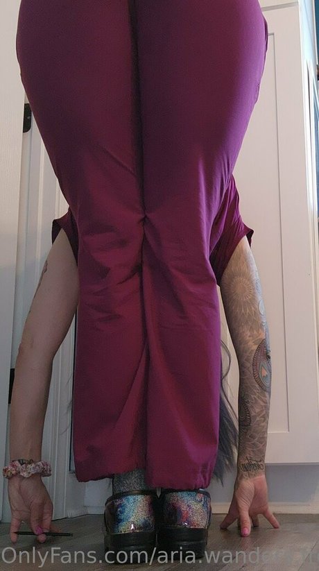 aria wanders free Nacktbilder OnlyFans geleakt