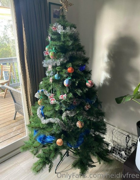 heidivfree OnlyFans Sex