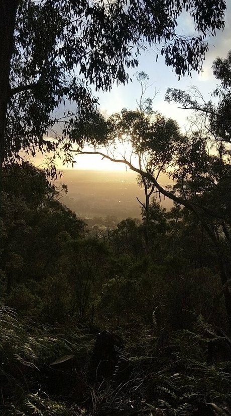 heidivfree OnlyFans Nacktbilder geleakt