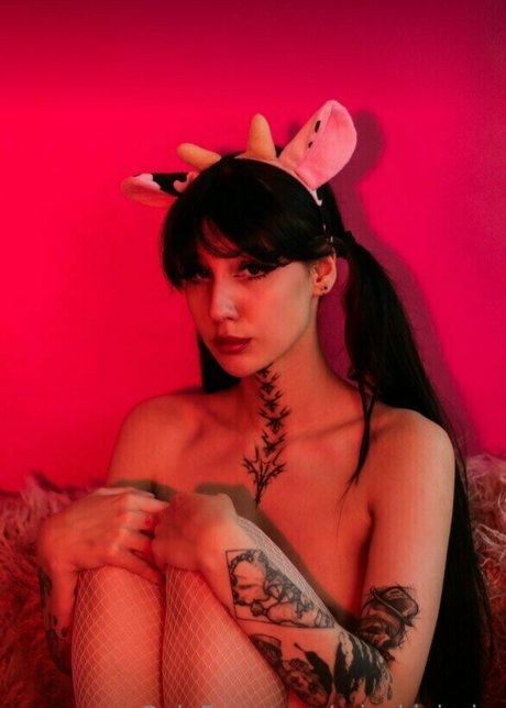 misakivirgin Nacktbilder von OnlyFans