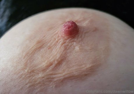 dawnwillow OnlyFans-Leak
