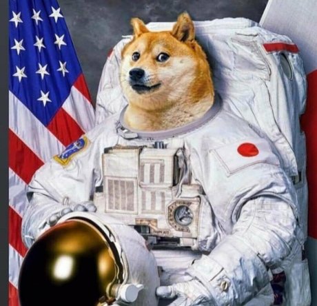 freemadbadvoodoo Gratis OnlyFans Inhalte