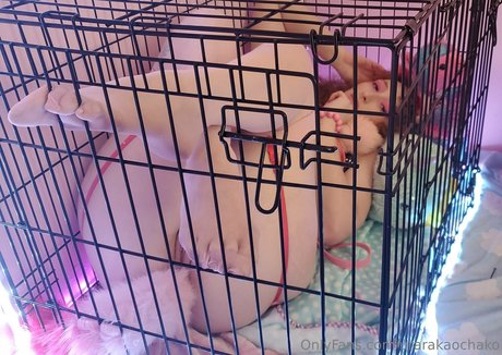 urarakaochako Leaks von OnlyFans