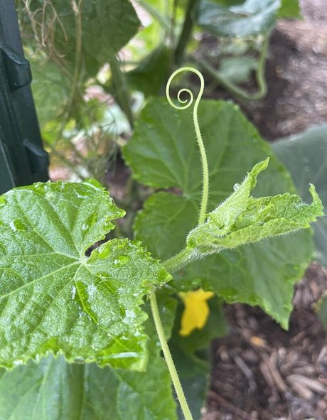 therustyranger Nacktbilder von OnlyFans geleakt