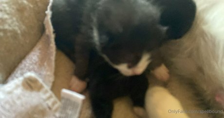 Spellbound Leaked OnlyFans Nacktbilder