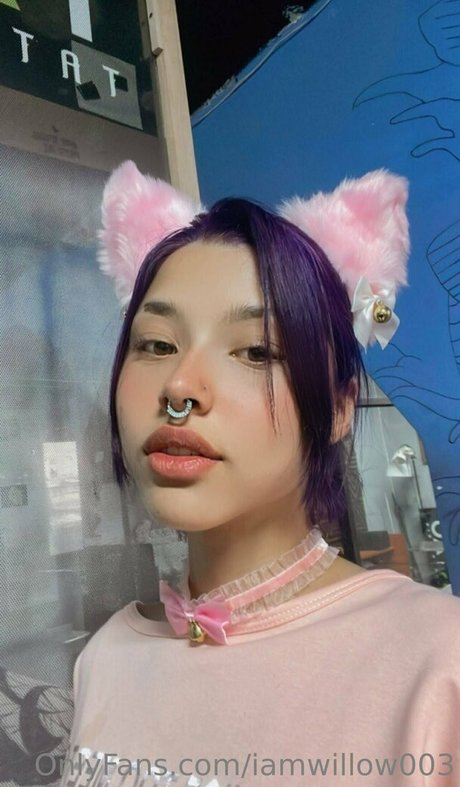 iamwillow003 Nacktbilder geleakt OnlyFans