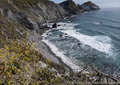 freelacielaplante Nacktbilder geleakt OnlyFans geleakt