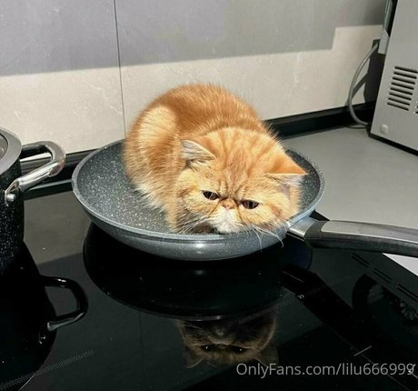 lilu666999 Kostenlose OnlyFans-Inhalte