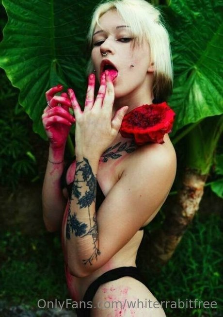 whiterrabitfree OnlyFans nackt