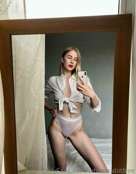 whiterrabitfree Nacktbilder geleakt OnlyFans Aufgedeckt