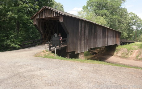 bee88i Kostenloses OnlyFans