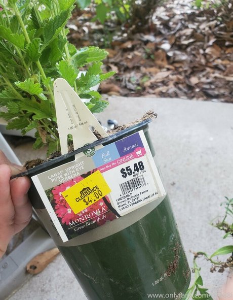 monsterschwanz-onlyfans exklusive Porträt