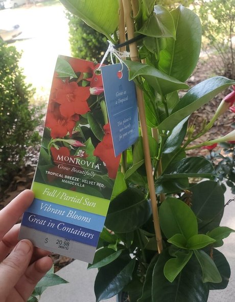 bee88i OnlyFans-Leak