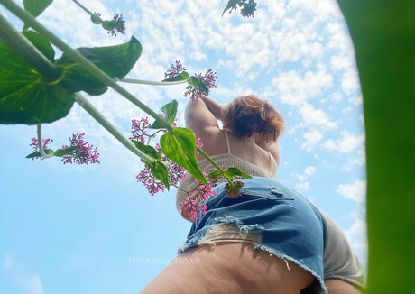 lingeriequeenfree OnlyFans kostenlos