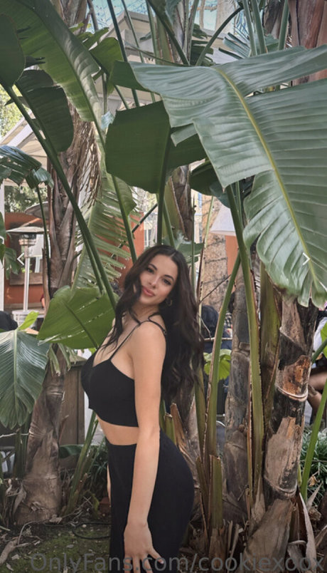 Bri Cookie Neue OnlyFans Leaks