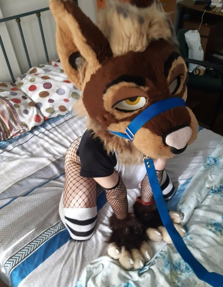 neflynxad Nacktbilder von OnlyFans