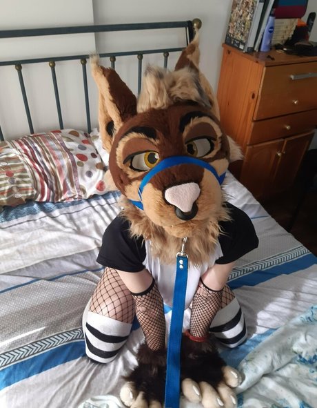 neflynxad OnlyFans X