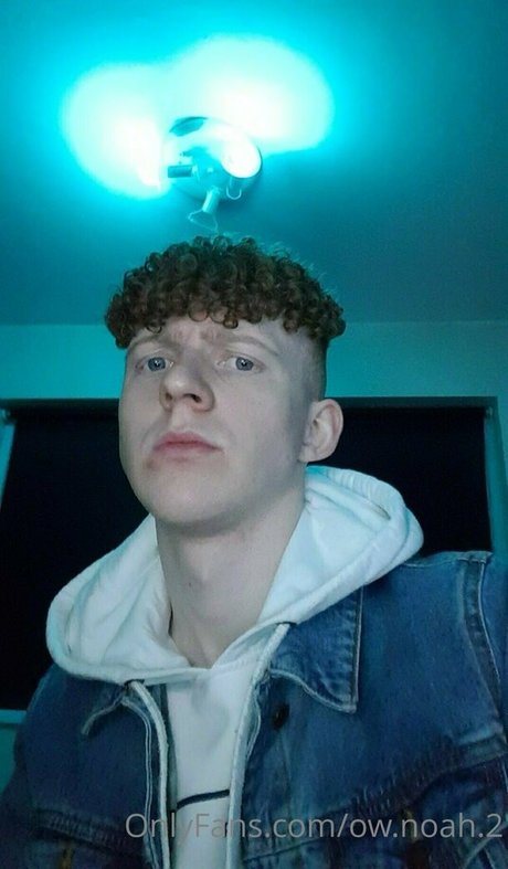 ow noah 2 OnlyFans-Seite