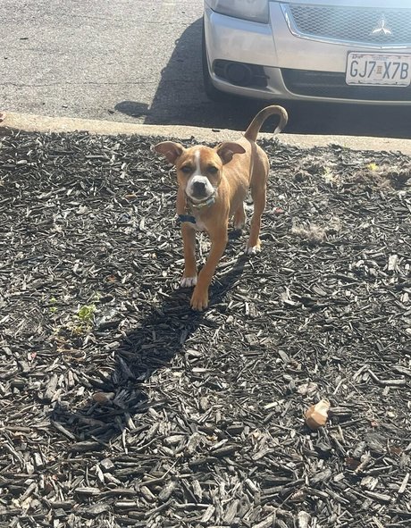 books withaeri OnlyFans geleakte Bilder