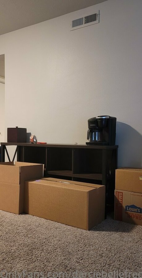 darciebellefree Leaked OnlyFans XXX