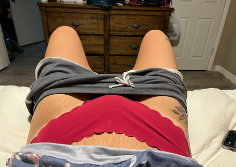 swingingset Profilbild