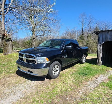 starshroom OnlyFans Pornografie