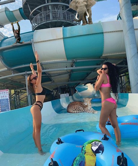 neskaranow OnlyFans öffentliche Fotos OnlyFans