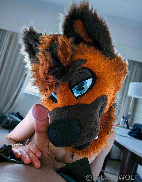 palacewolf Nacktbilder geleakt OnlyFans geleakt