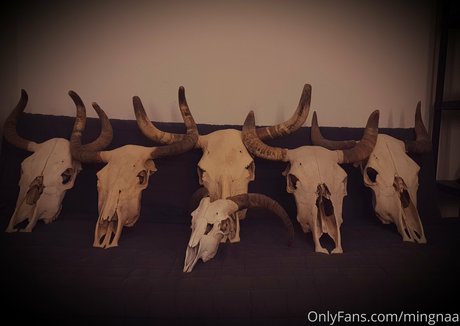 mingnaa OnlyFans Fotos