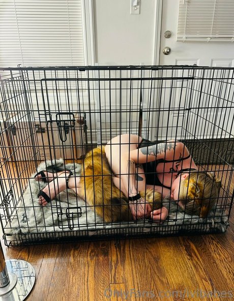 ivibabes OnlyFans Fick geleakt