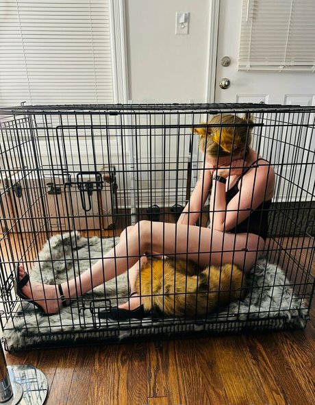 bukkake onlyfans XXX Medien