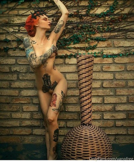 vanphell OnlyFans-Seite