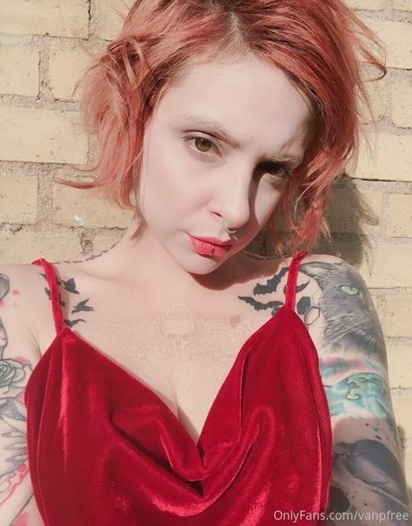 vanphell OnlyFans Bilder nackt