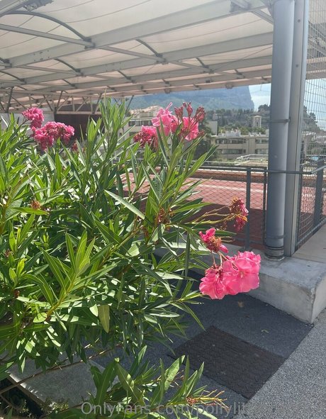 pollylittlecaprice OnlyFans geleakter Pornografie