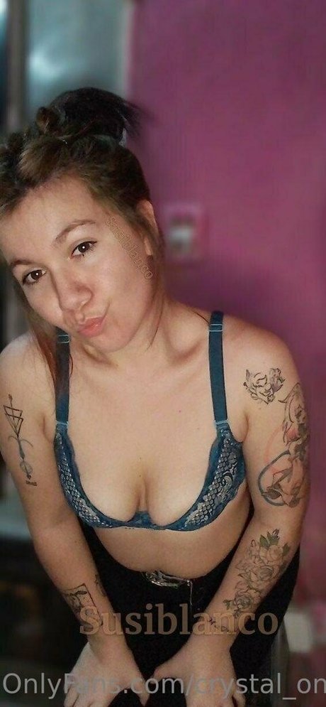 kätzchen nur fans schön Premium