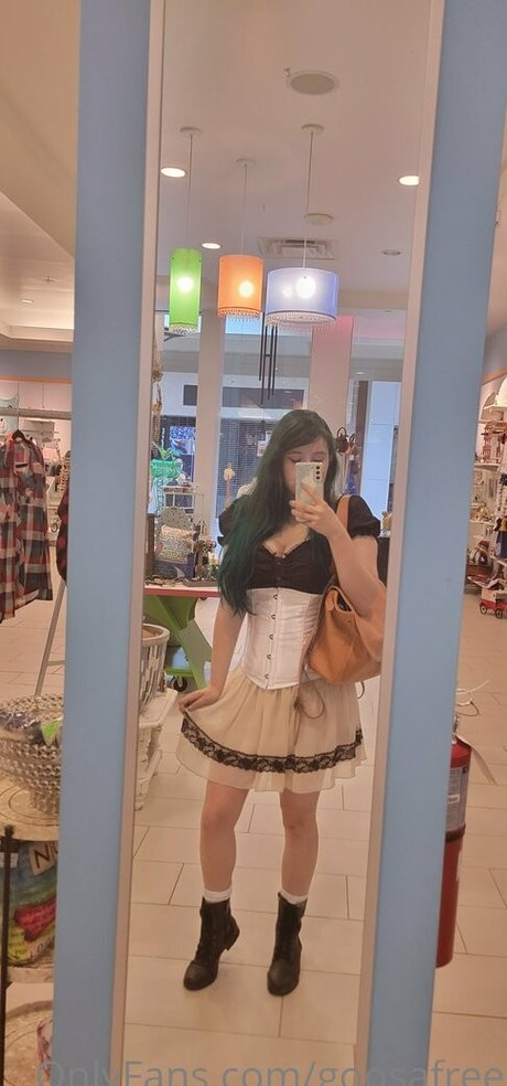 goosafree OnlyFans-Sex