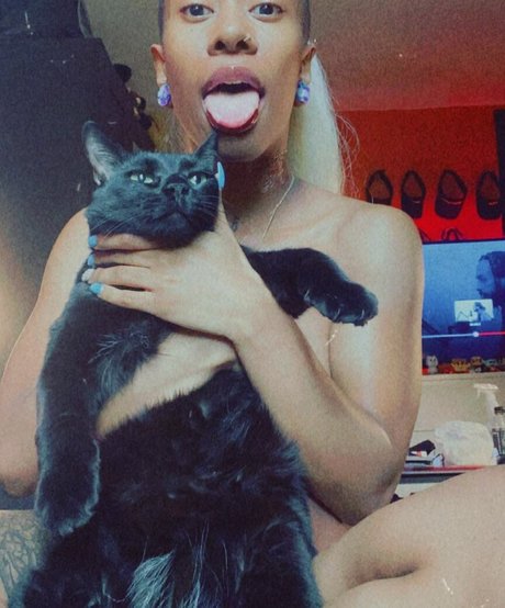 DragonPrincess OnlyFans Pornografie