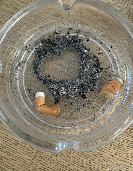 scarletjames301 OnlyFans Mega