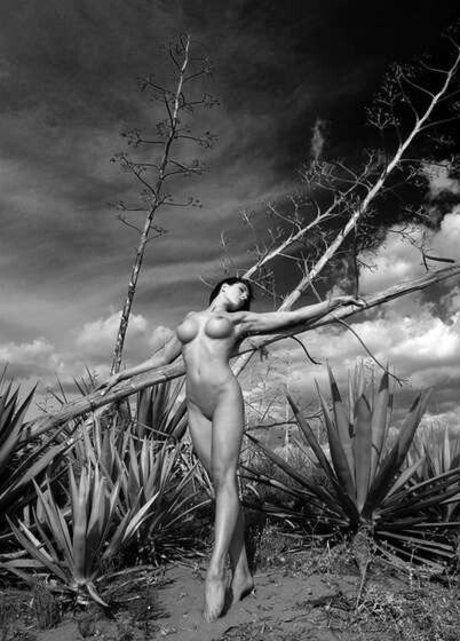 Deeeeliciousmfc OnlyFans Pornografie