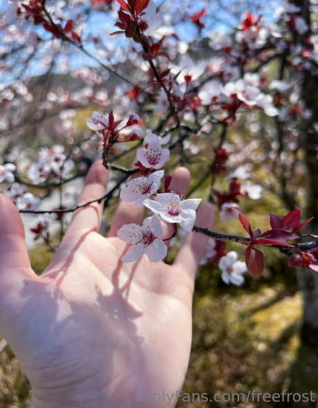 freefrost Leaks von Nacktbildern auf OnlyFans