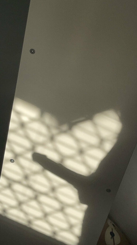 chriscahill OnlyFans geleakt