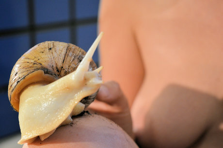 helensmith OnlyFans Leaked